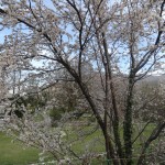 DSC09907