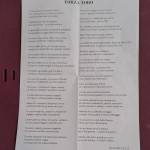 toro-3