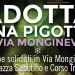 Locandina Pigotta 2015-2016 (cop)