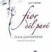 valsoan1 immagine copertina b.