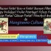 auguri-mc-1-3