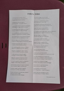 toro-3